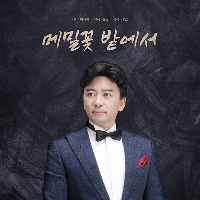 앨범